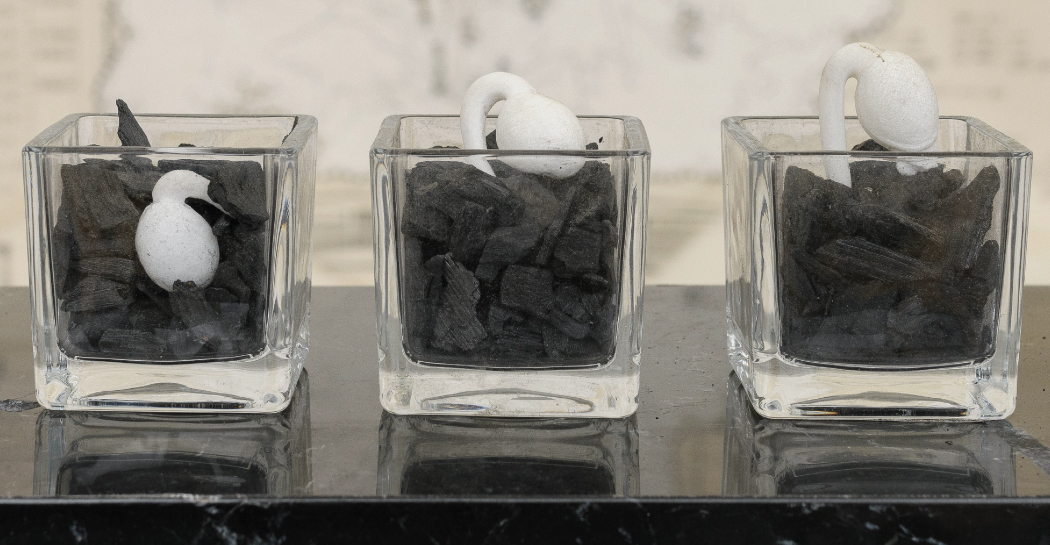 Silvia Scaringella. Deus sive natura Silvia Scaringella. Deus sive natura