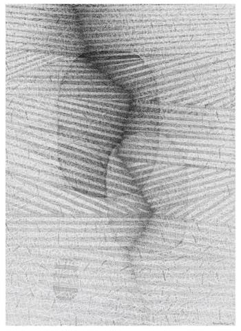 Marina Bindella, Ab origine V, 2023, disegno a china su carta intelaiata, cm 70 x 50