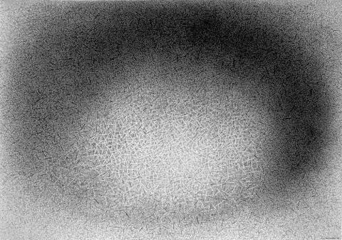 Marina Bindella, Cespuglio tenero, 2000, disegno a china, cm 70 x 100
