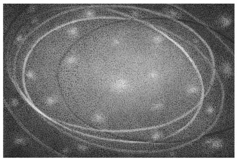 Marina Bindella, Cosmogonia, 2025 2026, disegno a china su carta intelaiata, cm 80 x 120